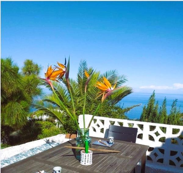 Zenrepublic, Your Private Villa With Outdoor Jacuzzi & Pool With Stunning Ocean Views Puntillo Del Sol ภายนอก รูปภาพ